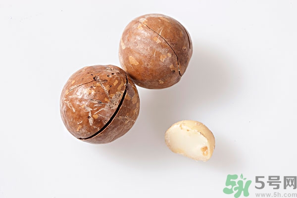 夏威夷果什么時(shí)候成熟上市？腰果和夏威夷果的區(qū)別