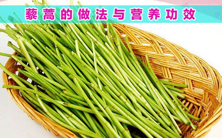 擇藜蒿手臟怎么洗？藜蒿和水芹菜的區(qū)別