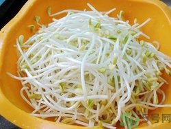 產婦可以吃豆豆芽?產婦吃豆芽回奶嗎