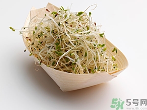 豆芽可以生吃嗎？豆芽炒粉條的家常做法
