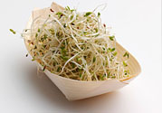 豆芽可以生吃嗎？豆芽炒粉條的家常做法
