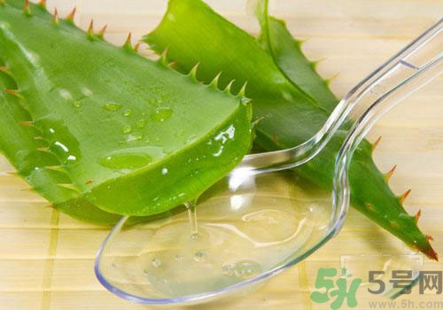 蘆薈膠要洗臉嗎？用完蘆薈膠要不要洗臉？