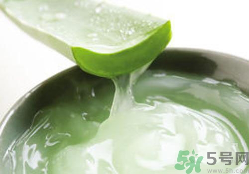 蘆薈膠可以天天用嗎？蘆薈膠天天用好不好？