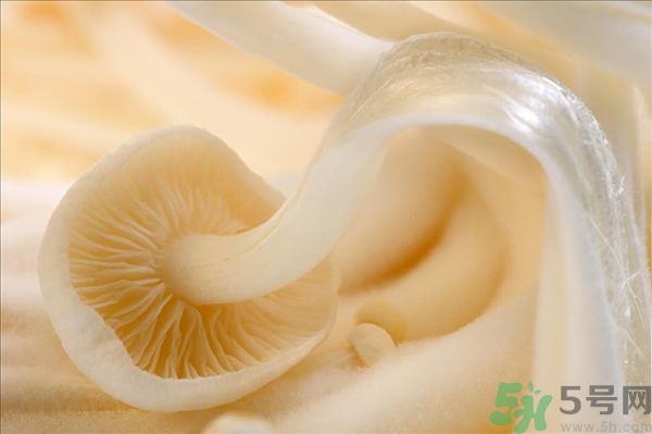 致癌金針菇怎么鑒別？如何選購金針菇？