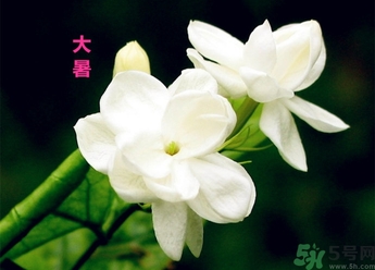 大暑是幾月幾日？大暑是什么意思？