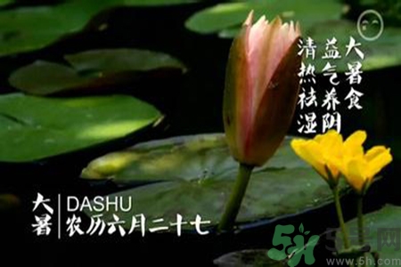 大暑吃什么養(yǎng)生？大暑吃什么好？