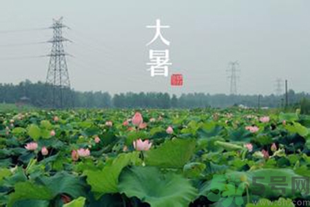 大暑吃什么養(yǎng)生？大暑吃什么好？