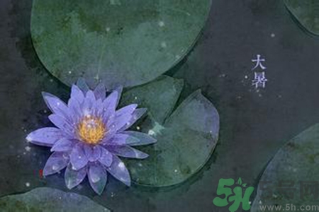 大暑吃什么養(yǎng)生？大暑吃什么好？