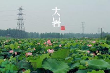 大暑吃什么水果？大暑吃什么水果養(yǎng)生？