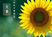 大暑是幾月幾日？大暑是什么意思？
