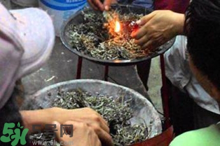 夏天可以用艾草驅(qū)蚊嗎？夏天可不可以用艾草驅(qū)蚊？