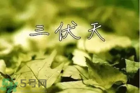 三伏天什么時(shí)候結(jié)束？三伏天是哪幾天？