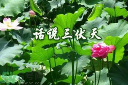 三伏天吃什么？三伏天傳統(tǒng)美食有哪些？
