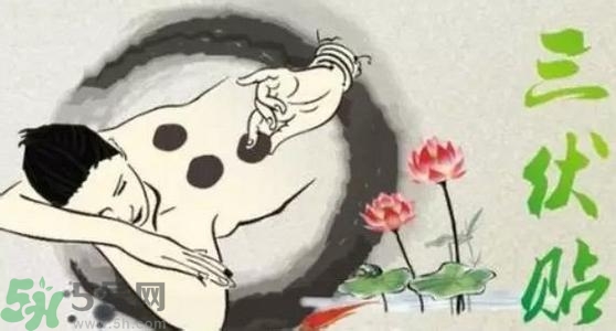 三伏貼的印子怎么去掉？三伏貼的印記多久才會(huì)消失？
