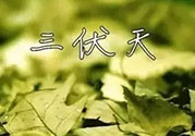 三伏天吃什么？三伏天傳統(tǒng)美食有哪些？