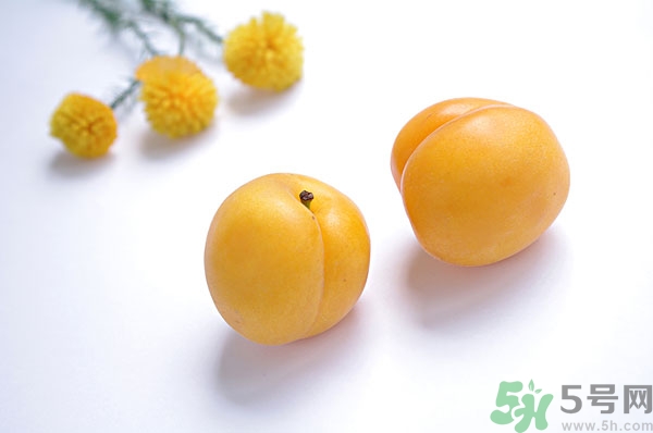 吃杏子能減肥嗎？杏子的功效與作用