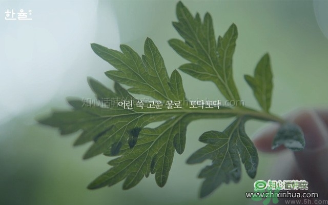 韓律艾草補水鎮(zhèn)靜噴霧怎么樣？好用嗎？
