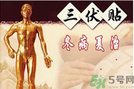 胃病可以貼三伏貼嗎？胃病貼三伏貼貼哪里？