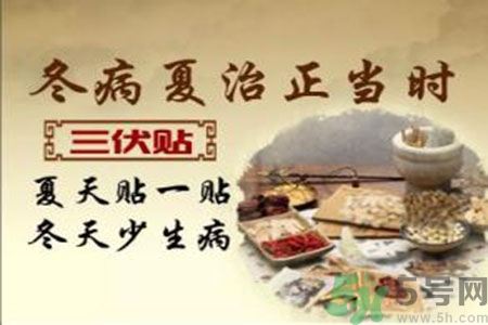 胃病可以貼三伏貼嗎？胃病貼三伏貼貼哪里？