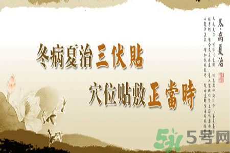 胃病可以貼三伏貼嗎？胃病貼三伏貼貼哪里？