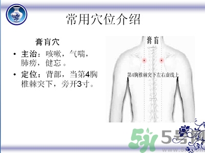 三伏貼可以貼肚臍嗎？三伏貼可以貼肚臍眼嗎？