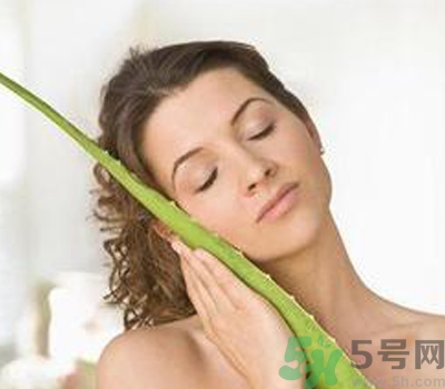 蘆薈膠會堵塞毛孔嗎？蘆薈膠應(yīng)該怎么用？