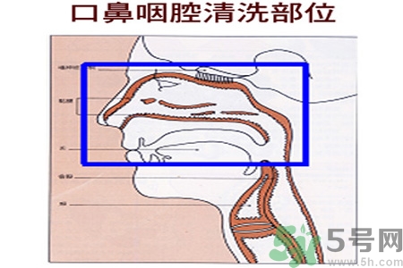 鼻炎能用生理鹽水清理鼻腔嗎？鼻炎能不能用生理鹽水清理鼻腔？