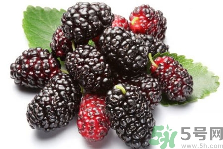 桑葚怎么洗？桑葚怎么保存？