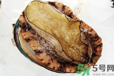 鮑魚(yú)如何挑選？鮑魚(yú)如何保存？