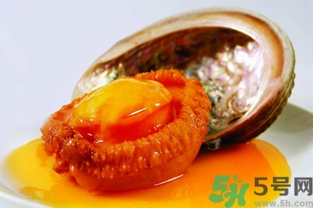 鮑魚如何挑選？鮑魚如何保存？