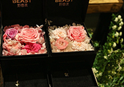 野獸派的花多少錢(qián)？野獸派的花哪里買(mǎi)？