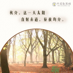 立秋是秋分嗎？立秋和秋分的區(qū)別？