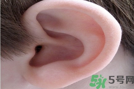 耳朵癢是怎么回事？耳朵癢怎么辦？