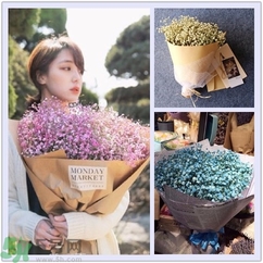 七夕送女朋友什么花？七夕送女朋友花送幾朵？