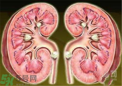 慢性腎炎能治好嗎？慢性腎炎能活多久？