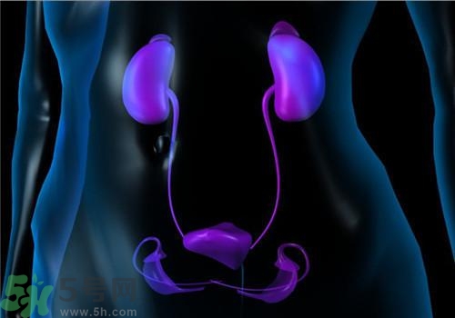 慢性腎炎能治好嗎？慢性腎炎能活多久？