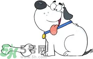 七夕單身狗怎么過？單身怎么過七夕？