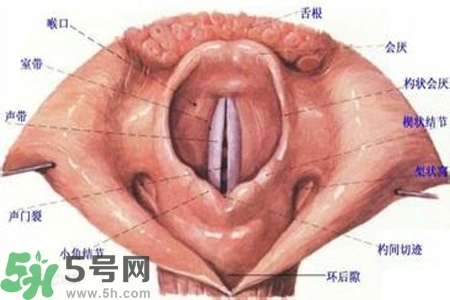 慢性咽炎的發(fā)病因素？慢性咽炎的并發(fā)癥有哪些？