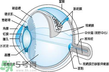 近視眼是什么？近視眼的癥狀有哪些？