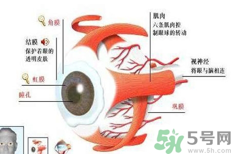 白內(nèi)障的護(hù)理措施是什么？白內(nèi)障的飲食護(hù)理有哪些？