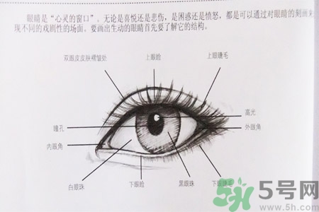 白內(nèi)障的發(fā)病因素是什么？白內(nèi)障并發(fā)癥有哪些？
