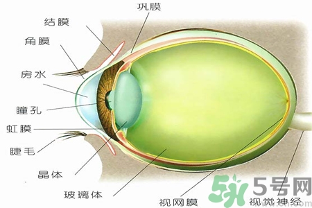 青光眼的治療方法有哪些？青光眼可以哪些藥物治療？