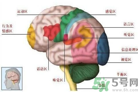 腦出血的發(fā)病因素是什么？腦出血的并發(fā)癥有哪些？