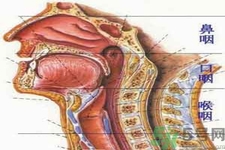 鼻咽癌的治療方法是什么？鼻咽癌可以用什么藥物治療？