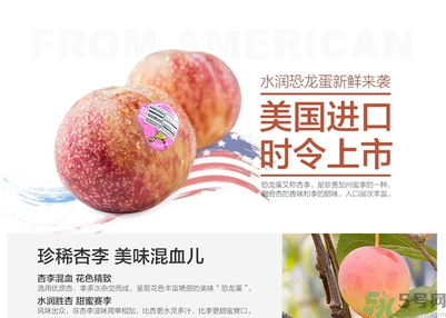 恐龍蛋水果孕婦可以吃嗎？恐龍蛋的禁忌