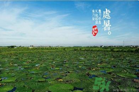 處暑出生的人怎么取名？處暑出生的人的命運？