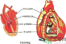 先天性心臟病可以用藥物治療嗎？
