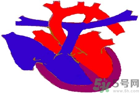如何預(yù)防心臟?。啃呐K病的禁忌癥有哪些？