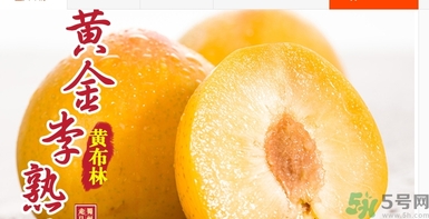 恐龍蛋水果怎么吃？恐龍蛋水果皮能吃嗎？