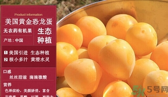 恐龍蛋水果怎么吃？恐龍蛋水果皮能吃嗎？